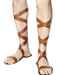 Roman Sandals | Buy Online - The Costume Company | Australian & Family Owned 