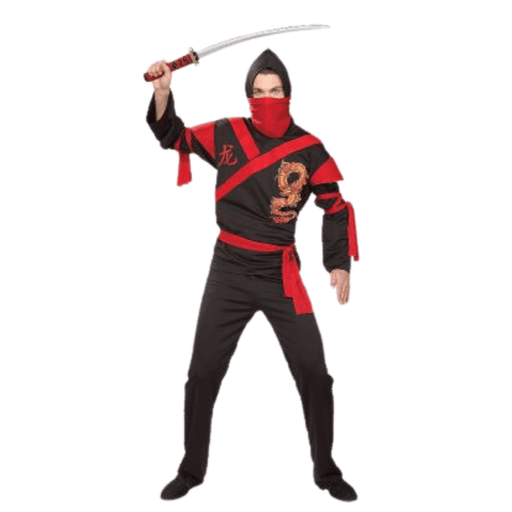 Dragon Ninja Warrior Costume | Buy Online - The Costume Company | Australian & Family Owned 