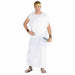 Toga White Costume  | Buy Online - The Costume Company | Australian & Family Owned