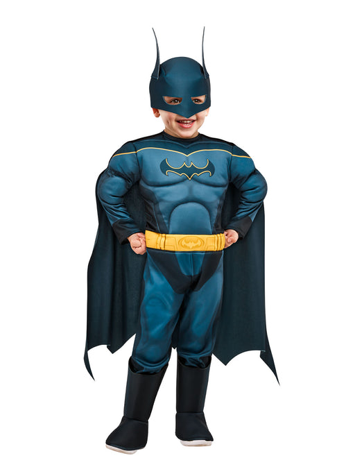 Batman Dc Super Pets Child Costume | Buy Online - The Costume Company | Australian & Family Owned 