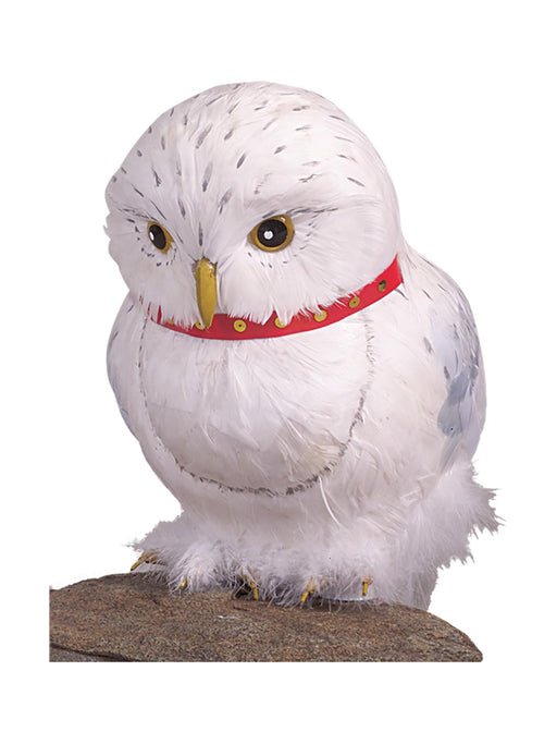 Hedwig The Owl Prop | Buy Online - The Costume Company | Australian & Family Owned 
