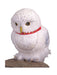 Hedwig The Owl Prop | Buy Online - The Costume Company | Australian & Family Owned 