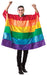 Rainbow Flag Tunic | One Size Fits Most | Pride Costume
