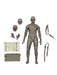 BUY THE MUMMY - UNIVERSAL MONSTERS 7" ACTION FIGURE | NECA ONLINE AU