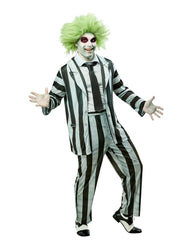 Beetlejuice 2 Costume - Halloween