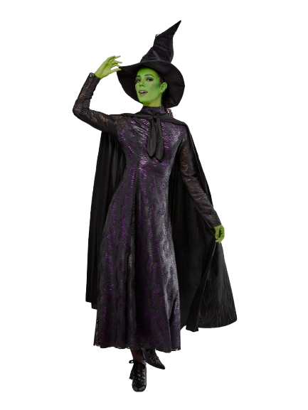 Premium Elphaba Adult Costume | Wicked Movie-Inspired Look