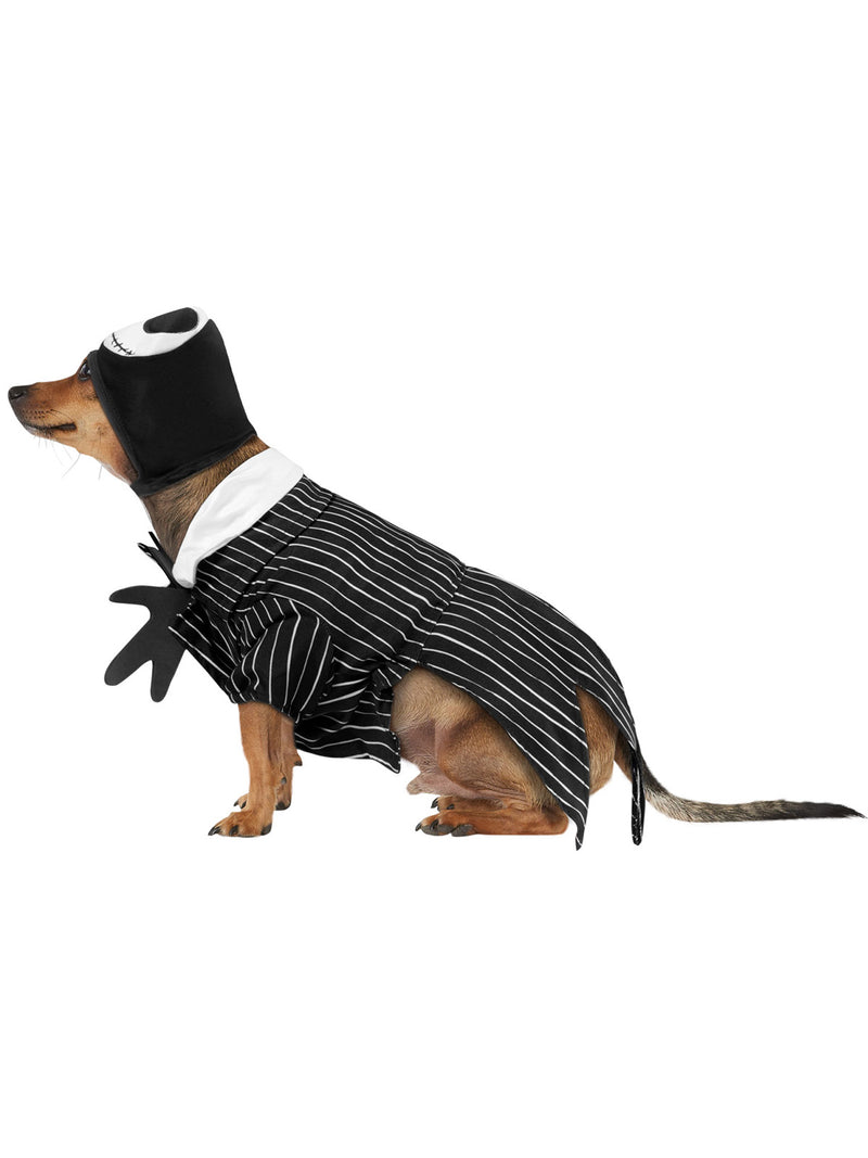 Jack Skellington Pet Costume - Buy Online Only
