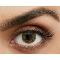 Pure Hazel Blend 1 Year Contact Lenses - Buy Online Only