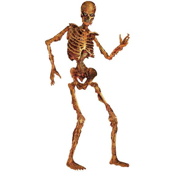 Jointed Zombie Skeleton 180cm | Life Size Halloween Decoration
