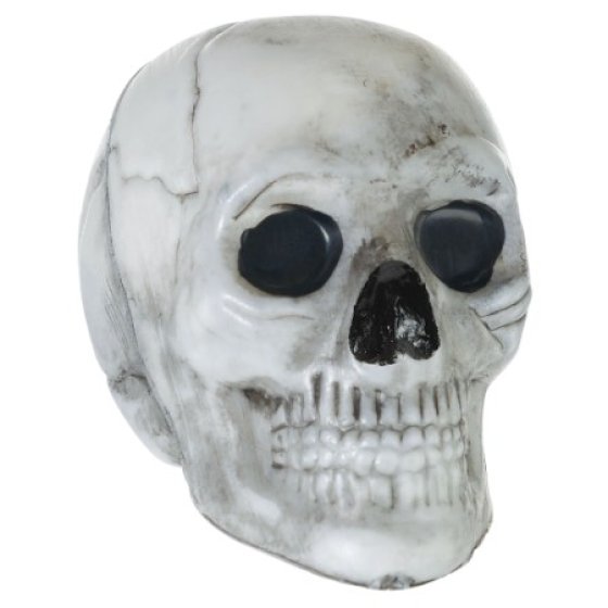 Mini Skull Decorations | 5cm Halloween Props | Plastic Bone Decor