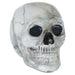 Mini Skull Decorations | 5cm Halloween Props | Plastic Bone Decor