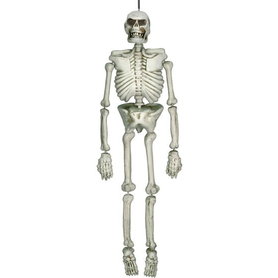 Life Size Hanging Skeleton Decoration Plastic - Buy Online Only