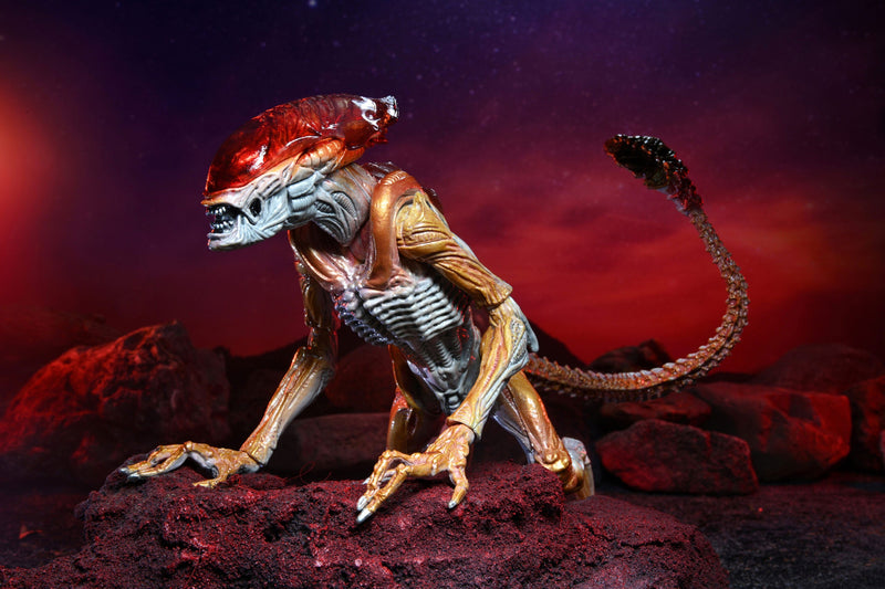 BUY ALIENS - PANTHER ALIEN KENNER TRIBUTE 7" ACTION FIGURE | NECA ONLINE AU