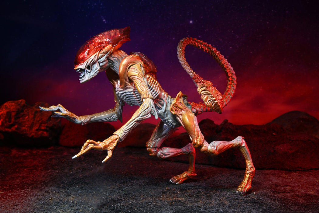 BUY ALIENS - PANTHER ALIEN KENNER TRIBUTE 7" ACTION FIGURE | NECA ONLINE AU