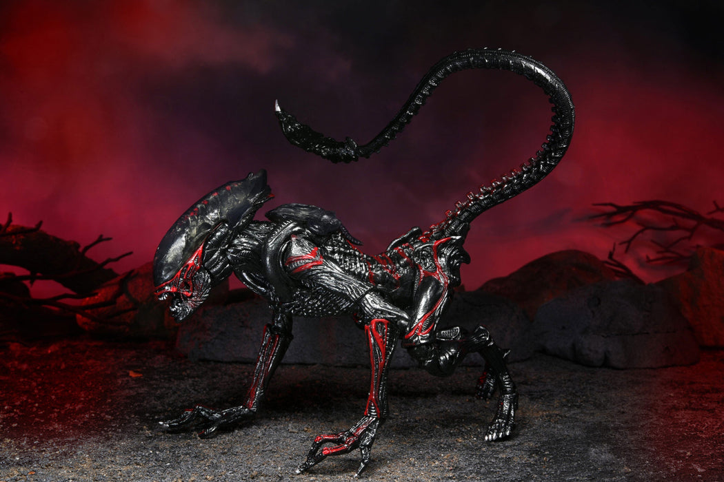 BUY ALIENS - NIGHT COUGAR KENNER TRIBUTE 7" ACTION FIGURE | NECA ONLINE AU