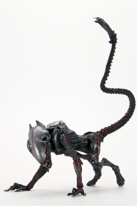 BUY ALIENS - NIGHT COUGAR KENNER TRIBUTE 7" ACTION FIGURE | NECA ONLINE AU