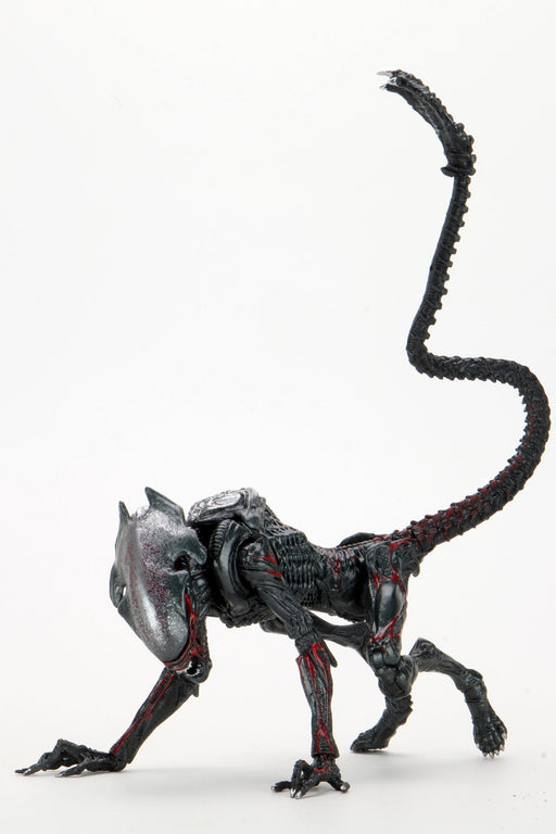 BUY ALIENS - NIGHT COUGAR KENNER TRIBUTE 7" ACTION FIGURE | NECA ONLINE AU