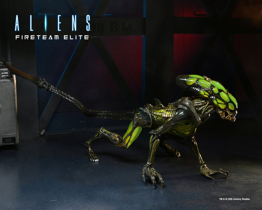 BUY ALIENS - FIRETEAM ELITE BURSTER ALIEN - 7" ACTION FIGURE | NECA ONLINE AU