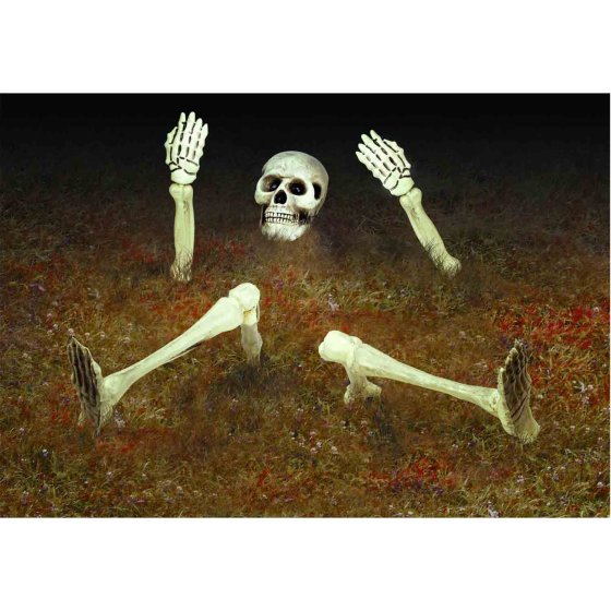 Groundbreaker Yard Skeleton Decoration Plastic - Buy Online Only