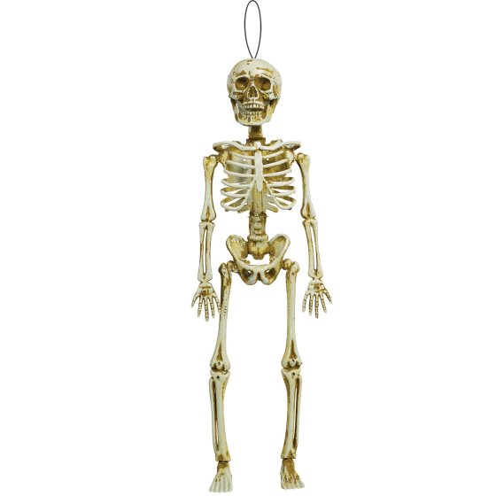 Hanging Skeleton Decoration Plastic - Buy Online Only