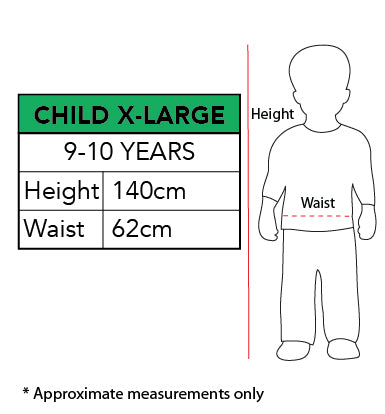 Mad Hatter Boys Deluxe Costume Child Costume 