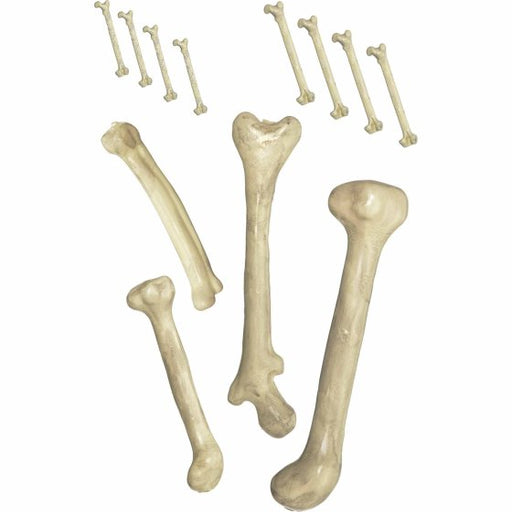 Bag of Bones | 12-Piece Halloween Prop Set for Spooky Scenes