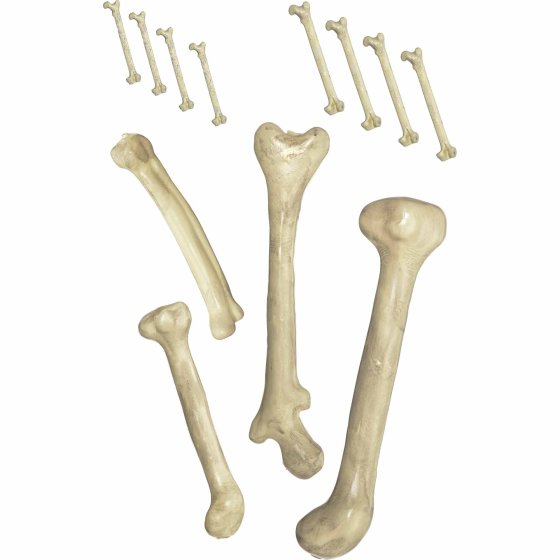 Bag of Bones | 12-Piece Halloween Prop Set for Spooky Scenes