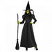 Black Wicked Witch Costume for Women | Classic Witch Dress & Hat