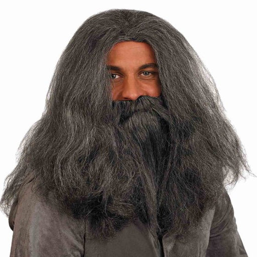 Wizard Wig and Beard Set | Long Grey Costume Hair for Adults
