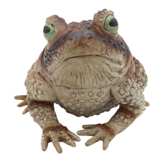 Fright Night Frog Prop - Buy Online Only