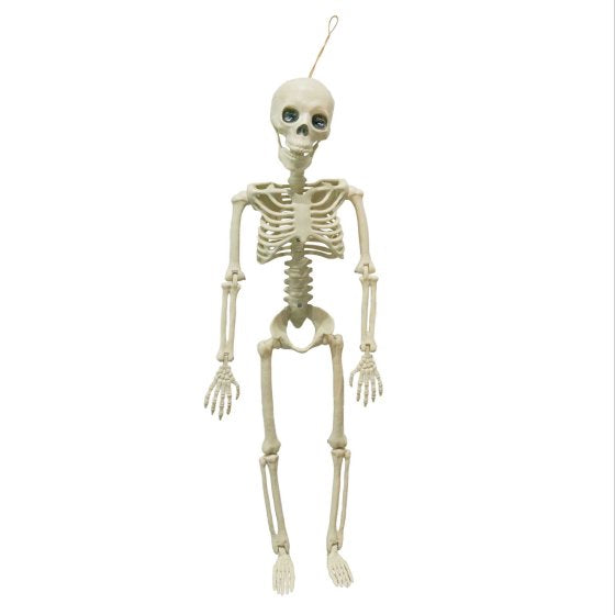 Fright Night Skeleton 90cm - Buy Online Only