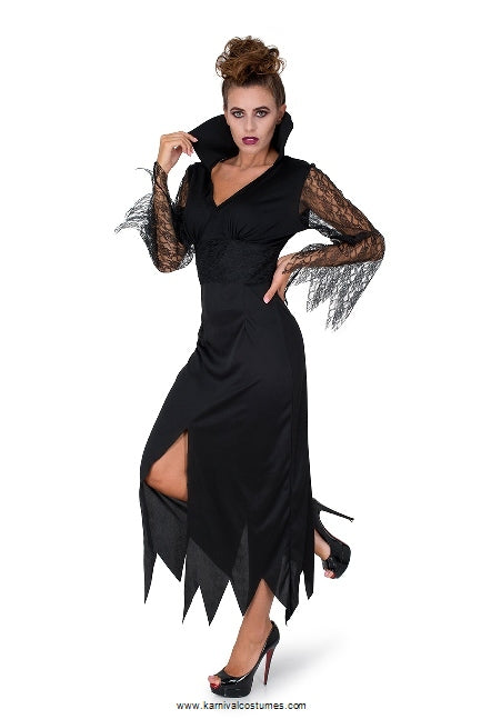 Wicked Sorceress Costume - Buy Online Only
