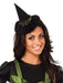 Deluxe Wicked Witch of the West Costume for Adults - Halloween Fun