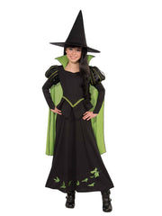 Wicked Witch of the West Child Costume | Wizard of Oz Outfit
