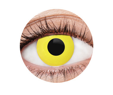 Yellow Crow Contact Lenses | Perfect to finish off your Halloween Look.
