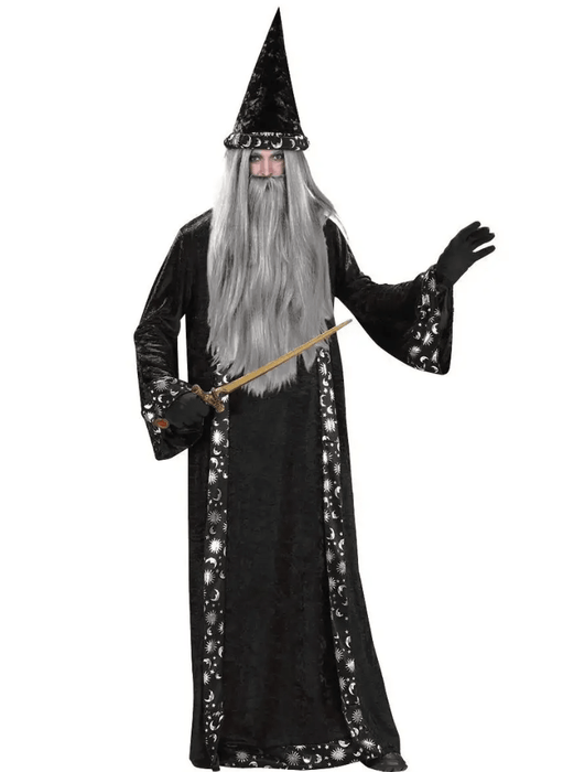 Mr Wizard Adult Costume