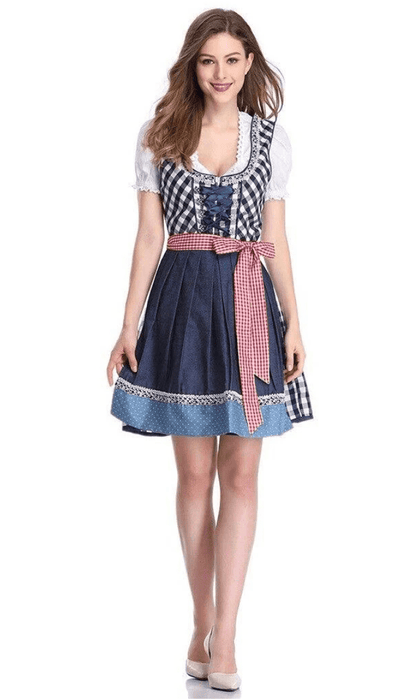 Beautiful Authentic Oktoberfest German Outfit Blue Checkered Dirndl
