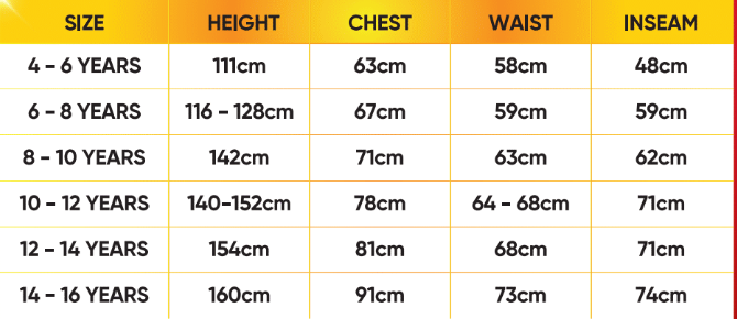 Wicked Witch Girl Costume | Black Dress & Hat Set