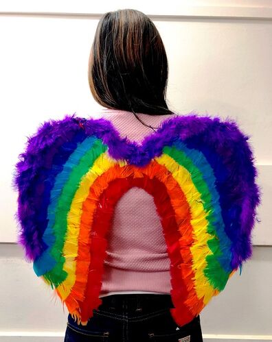 Rainbow Feather Wings 50x45cm | Pride Costume Accessory