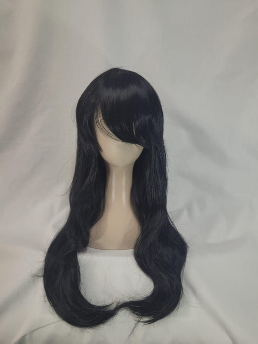 Black Heat Styleable Wig - The Costume Company