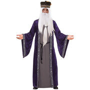 Dumbledore Costume Men's Style Harry Potter Costume