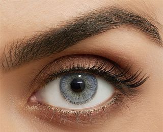 Gray Hollywood  1 Year Contact Lenses