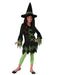 Lime Witch Costume - Buy Online Only - The Costume Company