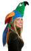 Parrot Hat - The Costume Company