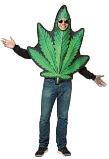 Pot Leaf Costume