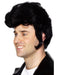 Rock Star Elvis or Danny Style Wig - The Costume Company