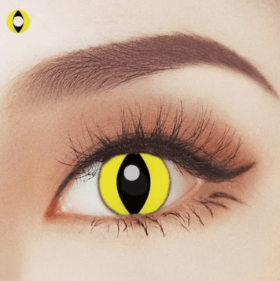 Wild Cat 1 Year Contact Lenses | Buy Online - The Costume Company | Australian & Family Owned 