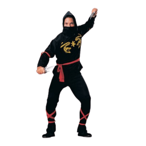 Ninja Costume | Buy Online - The Costume Company | Australian & Family Owned 