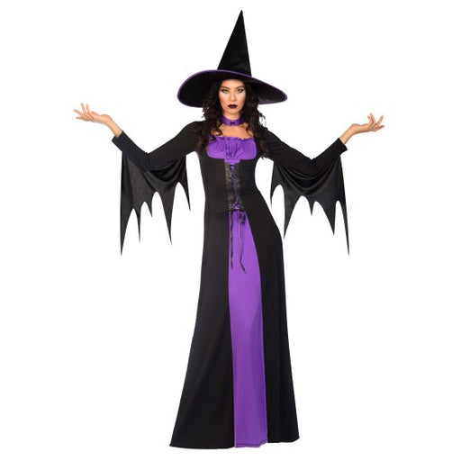 Classic Witch Women's Costume