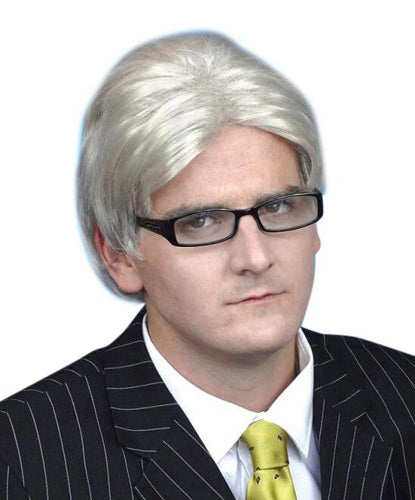 Current Affairs Host Silver Grey Wig - Buy Online - The Costume Company | Australian & Family Owned 